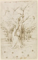 La forêt a des oreilles, le champ a des yeux, par Hieronymus Bosch (v. 1450-1516). Plume et encre de Chine brune sur papier, dimensions: 20,2 x 12,7, v. 1500-1515, Staatliche Museen, Berlin