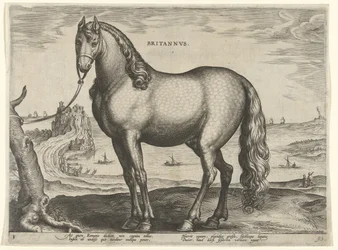Cheval de Bretagne (Britannus) (Paardenrassen uit de Koninklijke stallen van Don Juan van Oostenrijk, Equile Ioannis Austriaci Caroli)