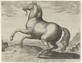 Cheval de France (Gallicus) (Paardenrassen uit de Koninklijke stallen van Don Juan van Oostenrijk, Equile Ioannis Austriaci Caroli)
