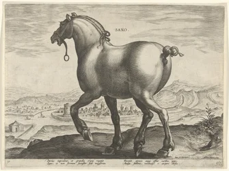 Cheval de Saxe