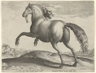 Cheval d