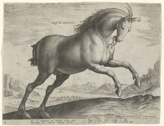 Cheval de la race Equus Regius (le Royal)