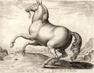 Gallicus de la série Chevaux de l