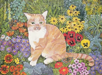 Le chat des charpentiers