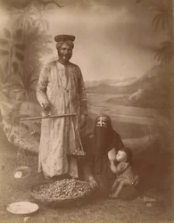 Famille du Moyen-Orient