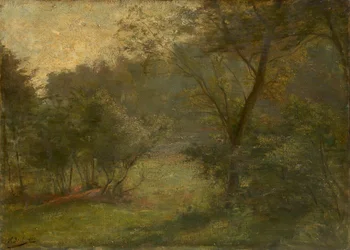 Vue sur la forêt