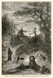 La nuit tomba, et Passepartout retourna en ville, de Le Tour du Monde en Quatre-vingts Jours par Jules Verne (1828-1905), gravé par Louis Prevost, 1873