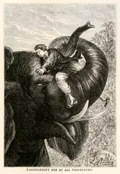 Passepartout pas du tout effrayé, d