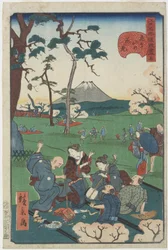 No.5, Observation des cerisiers en fleurs à Asuka Hill