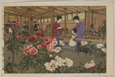 Jardin de pivoines Tokugawa, de la série, Douze scènes de Tokyo, époque Showa