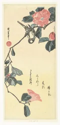 Oiseau et camélia