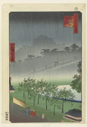 Pluie du soir dans la carrière de paulownia à Akasaka