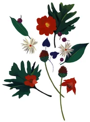 Une fleur qui fait imaginer Noël