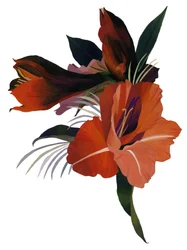 Une fleur imaginaire basée sur une amaryllis