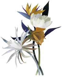 Une fleur imaginaire avec une base blanche
