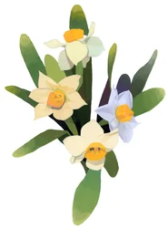 Narcisse