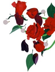 Rose rouge