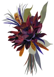 Dahlia sauvage