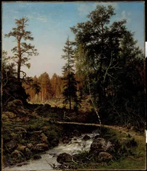 Un paysage forestier de Hauho