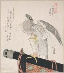 Faucon en soie ; spécialités de Karakiya à Kokucho