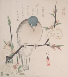 Collection de pluie printanière Harusame shu, vol. 3: Colombe de montagne et fleurs de pêcher, vers 1820