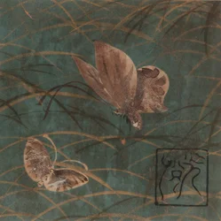 Papillons et herbes, période Edo, début du 17e siècle