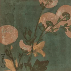 Chrysanthèmes, période Edo, fin du 16e-début du 17e siècle