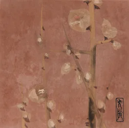 Fleurs de prunier
