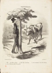 Oh!... une bête à cornes...