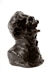 Les bustes des « Célébrités du Juste Milieu » Caricature de Charles Philipon, directeur de « La Caricature » et du « Charivari ». Journaliste. Le rire édenté. Sculpture par Honoré Daumier (19e siècle)