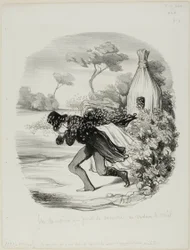Un gentilhomme qui voulait étudier de trop près les mœurs des abeilles, planche 6 des Pastorales