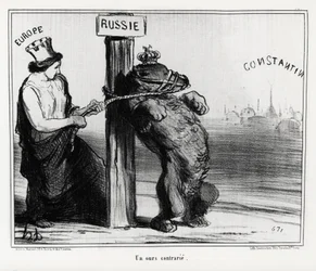 Russie : un ours contrarié (par l
