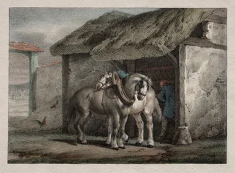 Cheval de Ferme