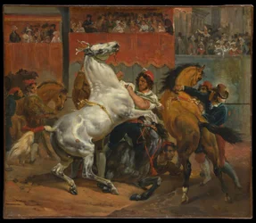 Le départ de la course des chevaux sans cavalier