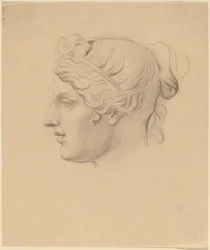 Tête classique de profil