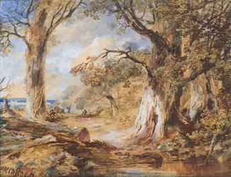 Le bord du bois