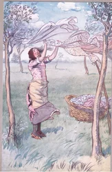 "Je lave, essore... et fais tout moi-même", illustration de 