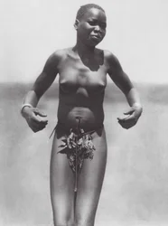 Afrique : Danseuse, Djur oriental
