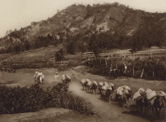Mexique : plaque tournante des transports à l