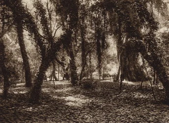 Mexique : endroit idyllique dans le parc de Chapultepec (photo n/b)