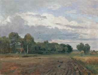 Paysage nordique