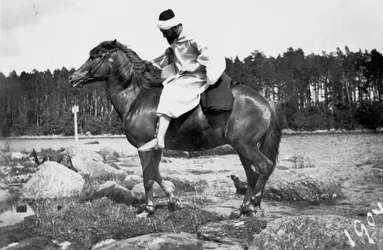 Hugo Simberg en cheik