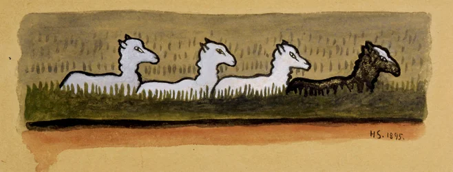 Moutons en file