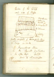 Esquisse de la falaise côté ouest de Staffa, page du carnet personnel de Sir Humphry Davy