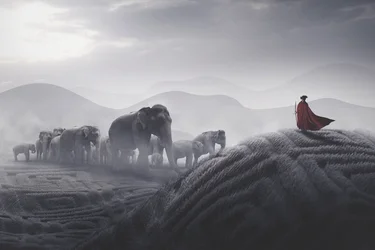 Le voyage de l