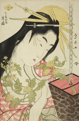 La Courtisane Tsukioka de l
