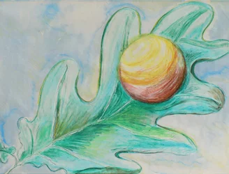 Orbe doré sur une feuille de chêne