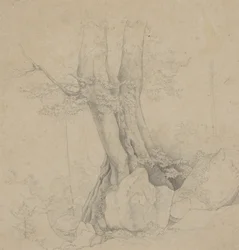 Arbre et Roche