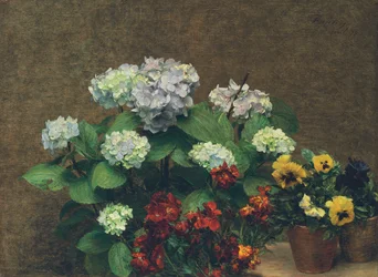 Fleurs