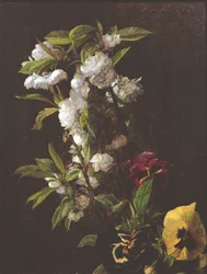 Fleurs, 1876